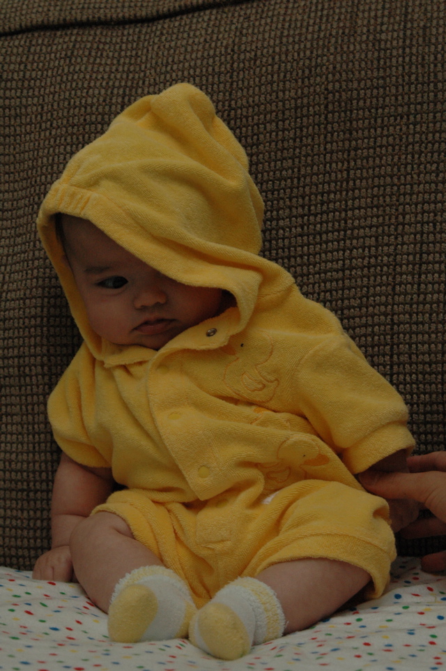 DSC_0003.JPG