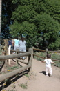 DSC_0010.JPG