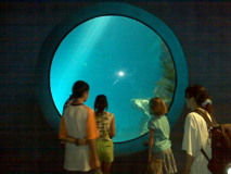IMG00040