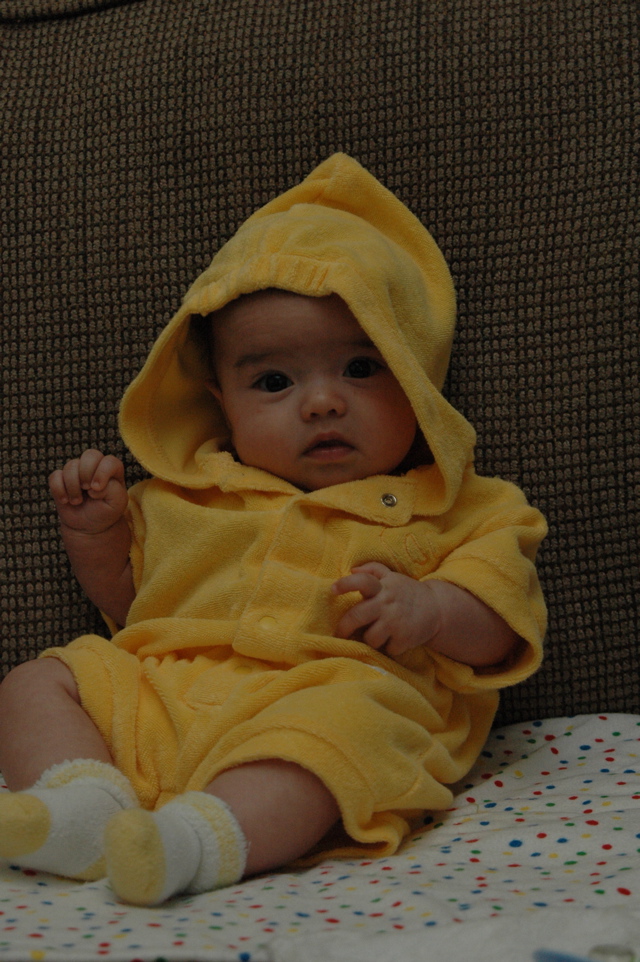 DSC_0002.JPG