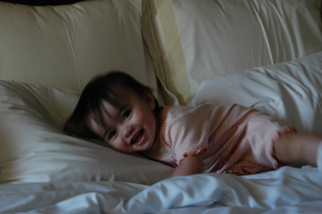 DSC_0012.JPG
