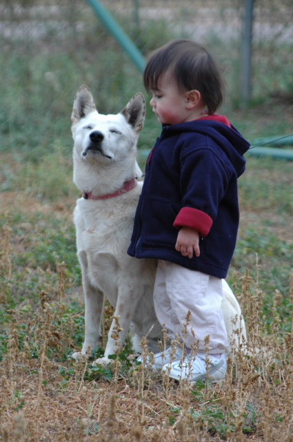 DSC_0016.JPG