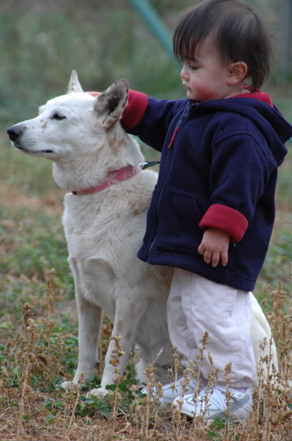 DSC_0017.JPG