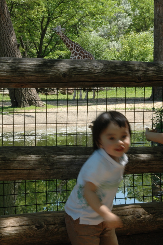 DSC_0011.JPG